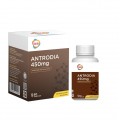 GKB Antrodia (MAL15060022T)